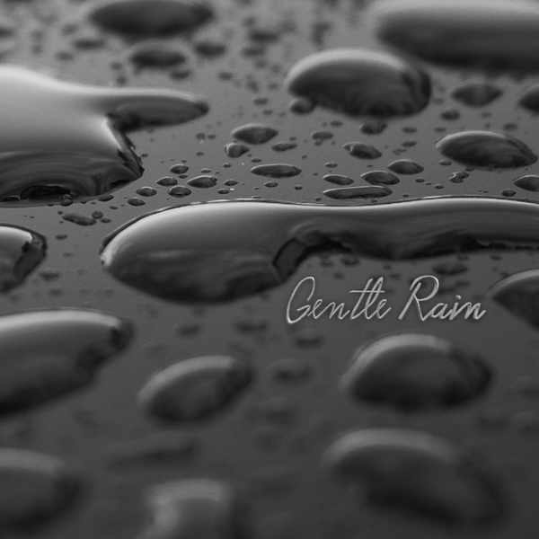 Gentle Rainのジャケット画像