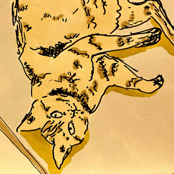 Another Songsのジャケット画像