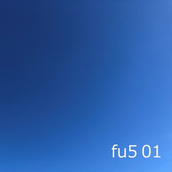 fu5 no1のジャケット画像