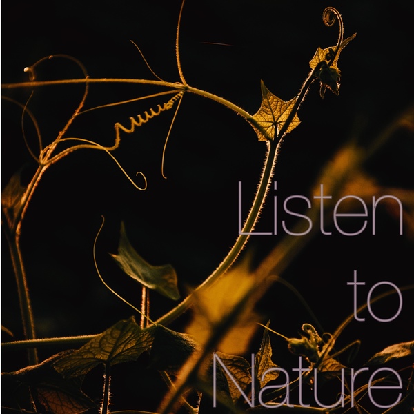 Listen to Nature リラックス・集中・環境音のジャケット画像