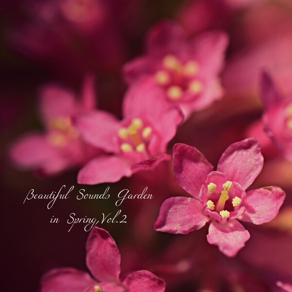 Beautiful Sounds Garden in Spring, Vol.2のジャケット画像