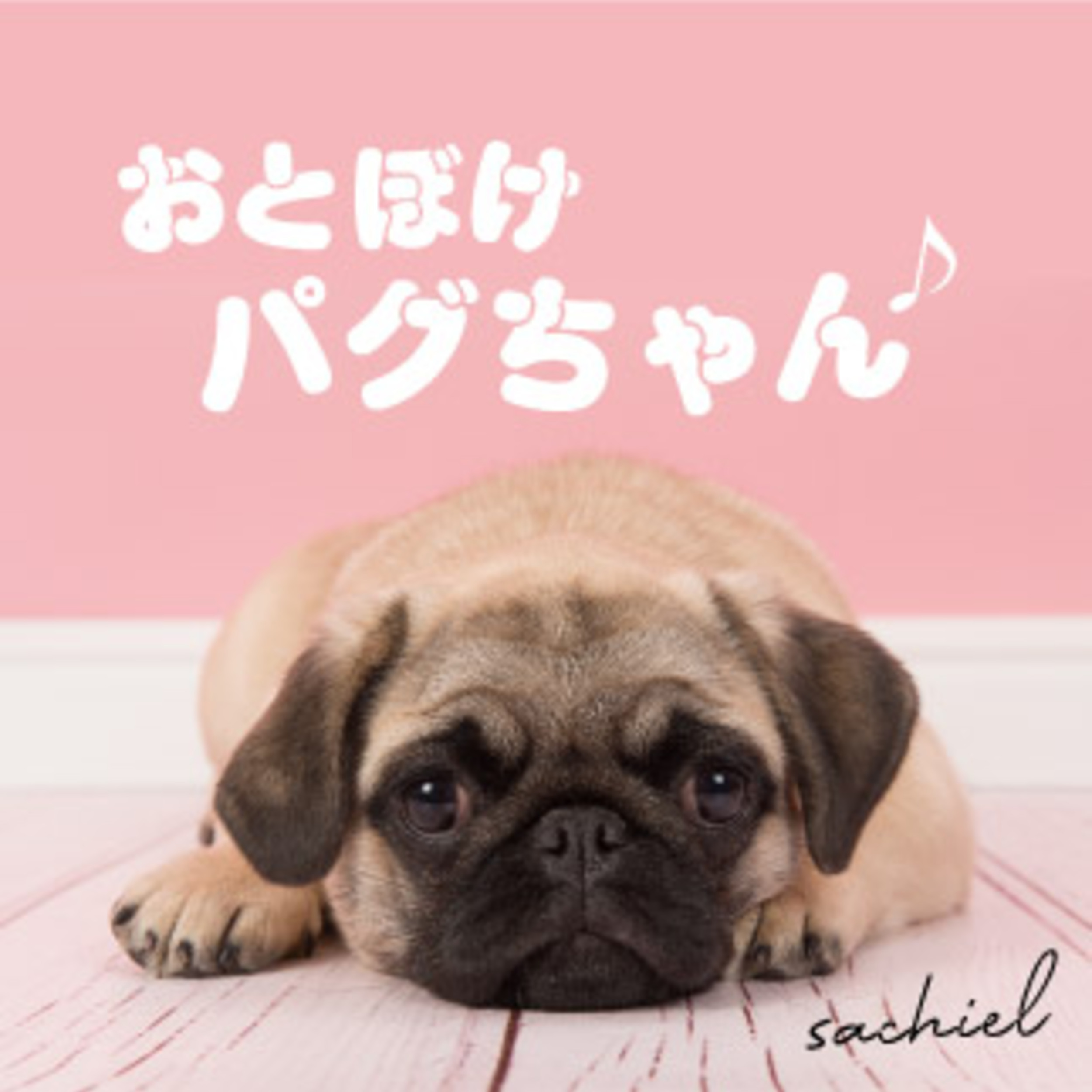 Kazu&4pugs | #進さんファースト #bbちゃんごめんね #明日はbb
